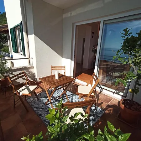 Lemon No. 205 Apartment *